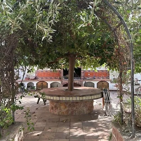 Casa Mandarina